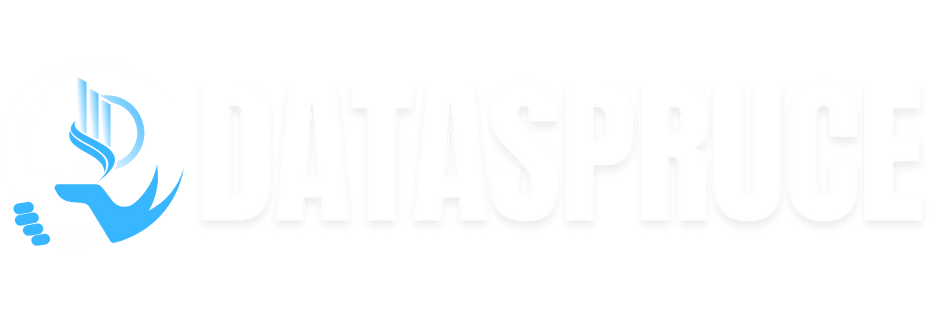 DataSpruce Logo